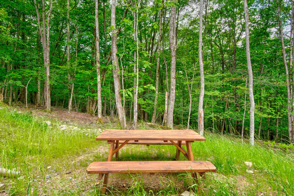 A wooden picnic table is nestled among tall trees and lush greenery, evoking the dog-friendly, nature-filled environment around Beech Mountain. The scene is peaceful, inviting guests—and their dogs—to enjoy meals or simply relax surrounded by nature.